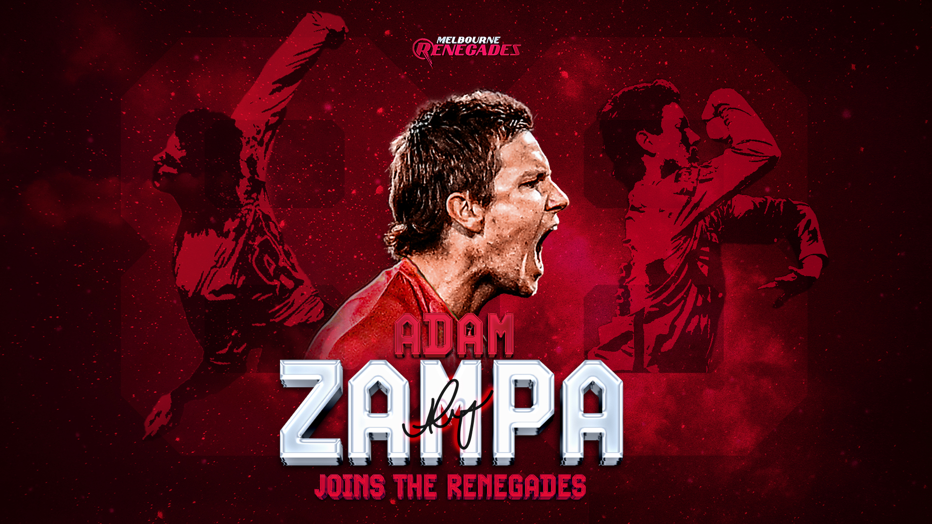 Zampa set to spin with the Renegades | Melbourne Renegades